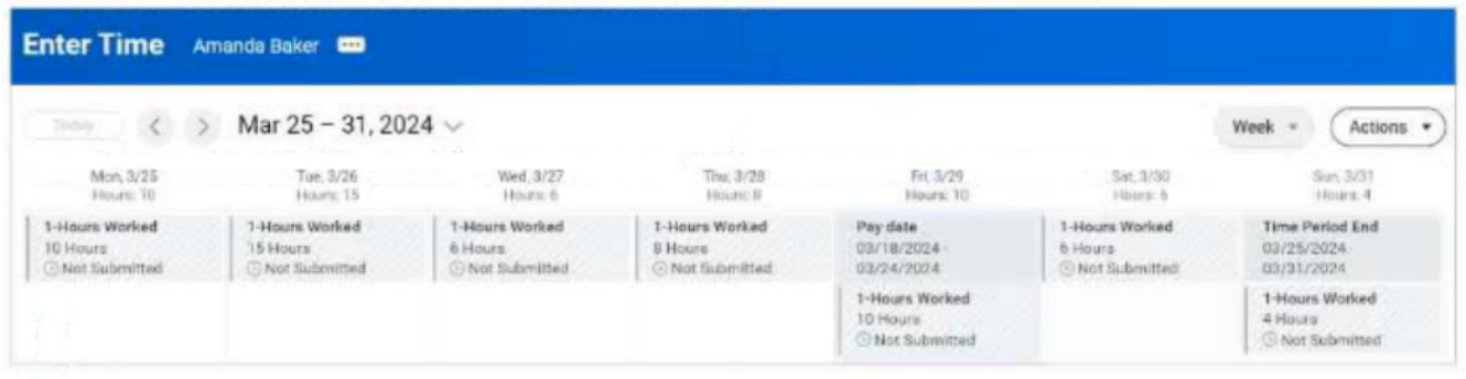 q1_Workday-Pro-Time-Tracking 